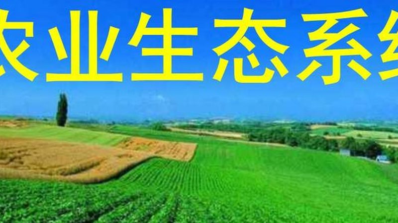 露天种植苹果防病流程解析