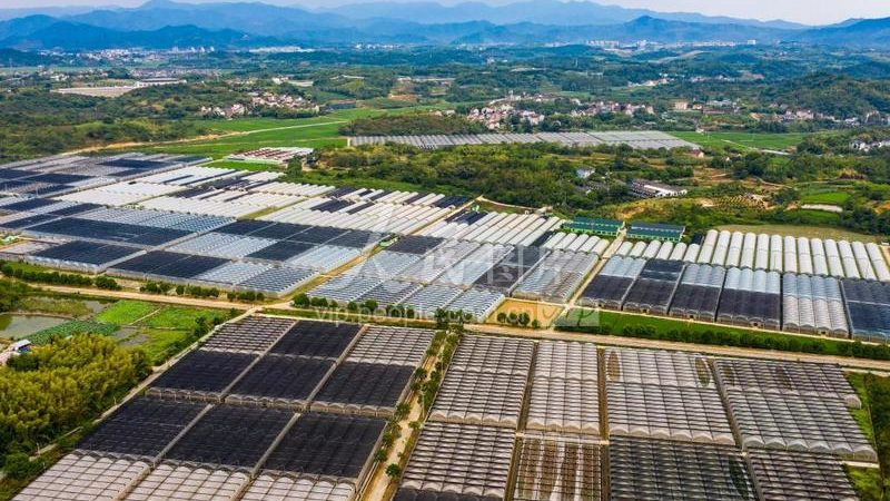 设施农业物联网系统：构建智慧农业的基石