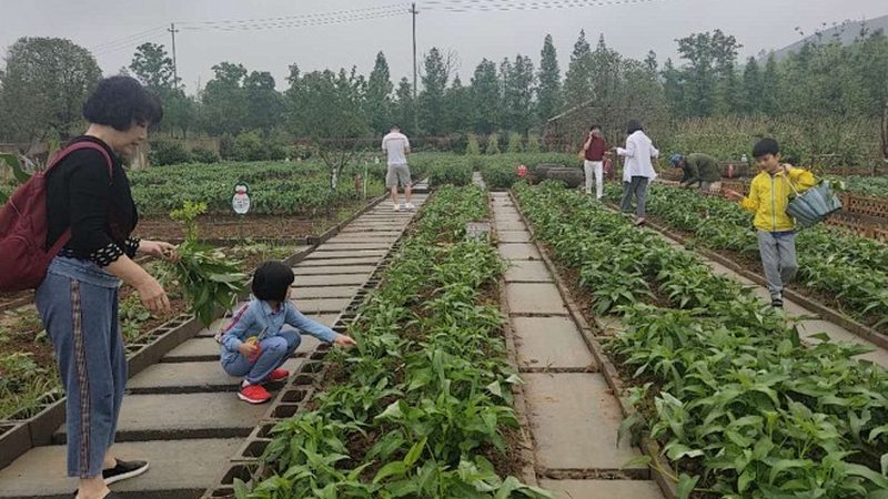 家庭农场种养结构怎么调整