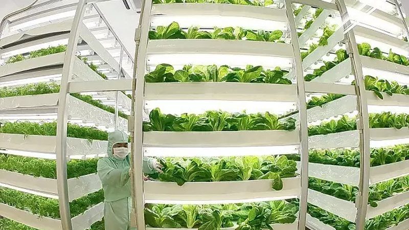 生态农业可行性报告评审的关键要素