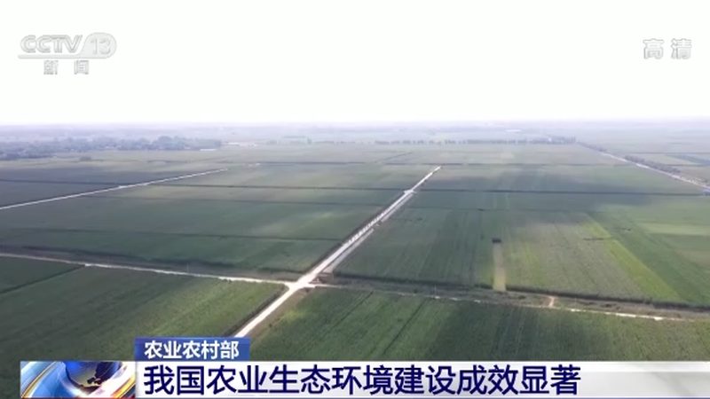无土栽培与土培：两种种植方式的对比解析