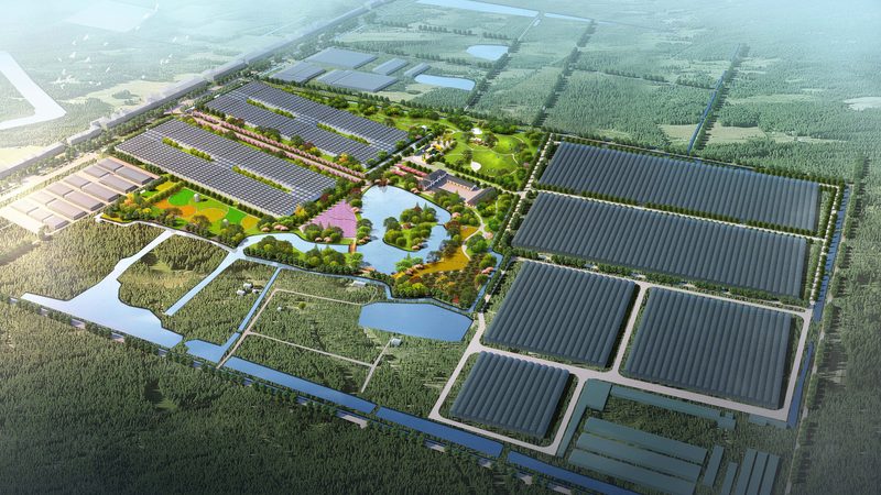 2025年设施农业补贴政策最新解读**