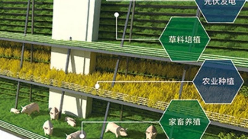 食材配送投标书：如何构建一个专业的目录结构