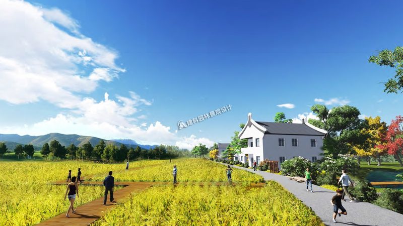 农村创业种植培训班：开启绿色农业新篇章**