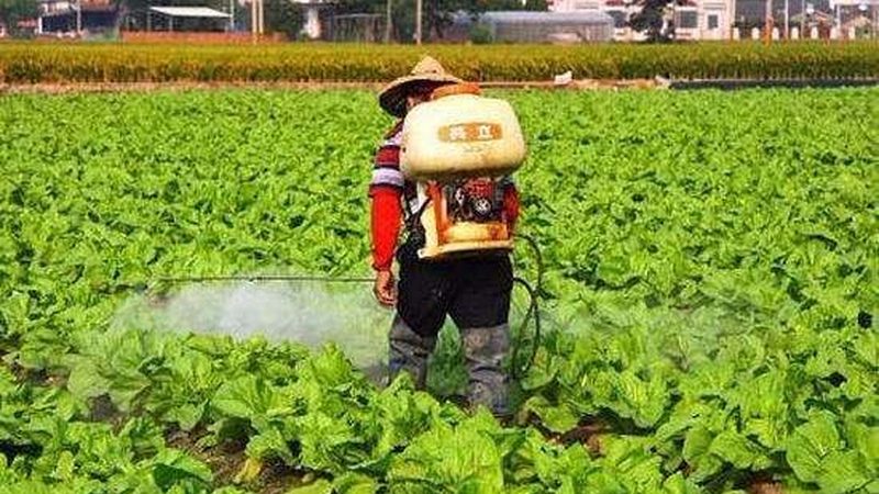 智慧农业项目标准规范：构建可持续发展的基石