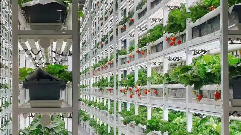永靖县生态养殖有限公司