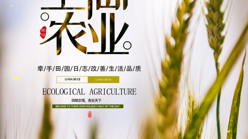 蔬菜专业合作社：构建现代农业的生力军**